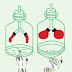 Process of respiration - Biological processes in human body