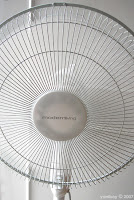 pedestal fan 2007