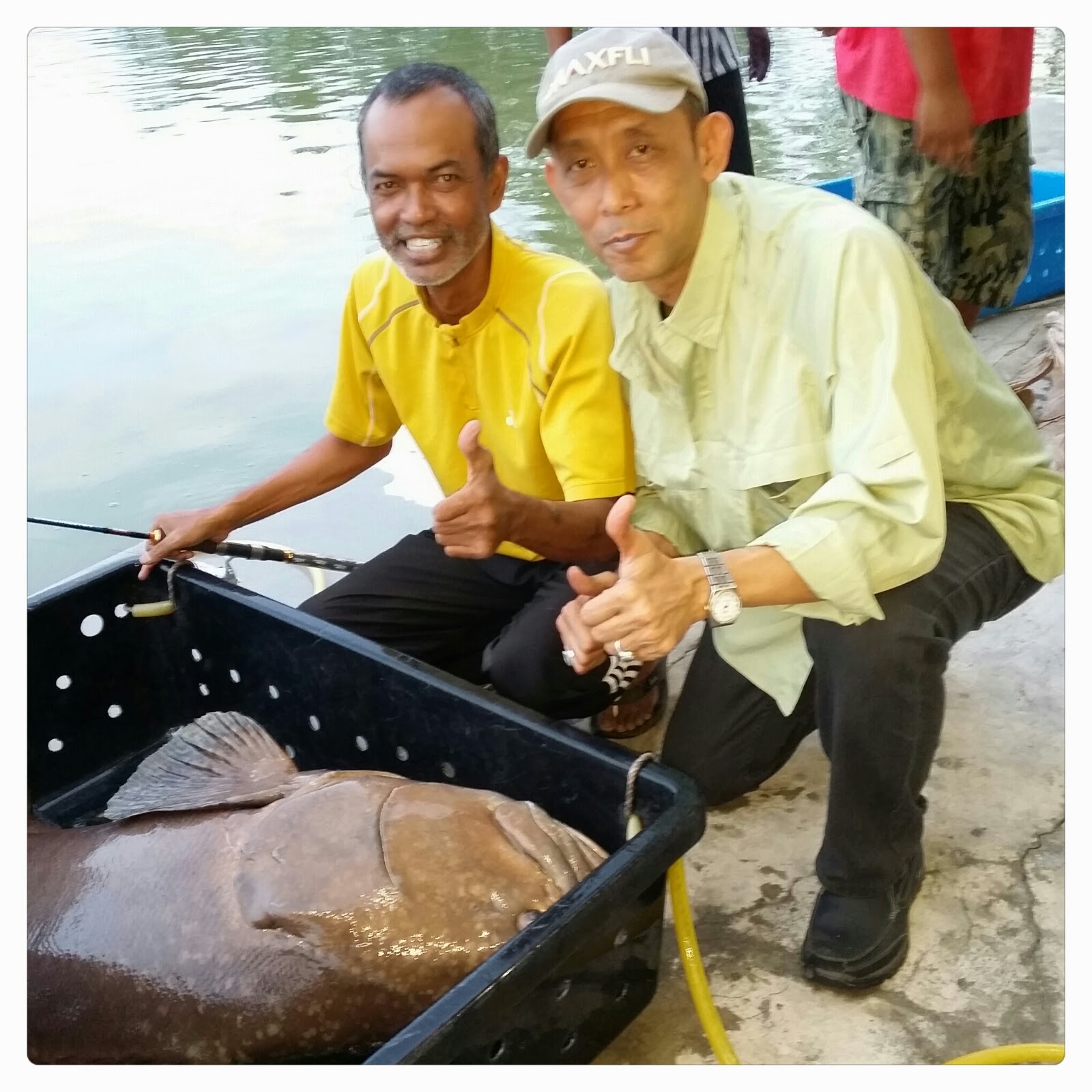 JoranPancing: Misi Misbun Sidek buru kerapu naga nyata 