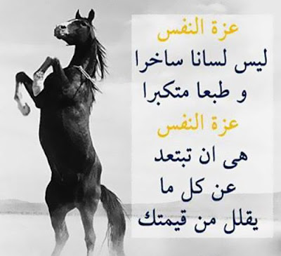 عزة النفس ليست لسانا ساخرا