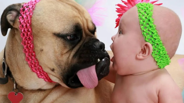 Dog with Newborn