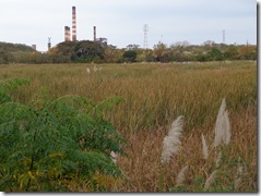 DSC01311