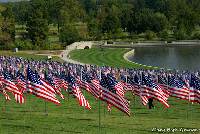 Flags of Valor display in St. Louis photo by mbgphoto