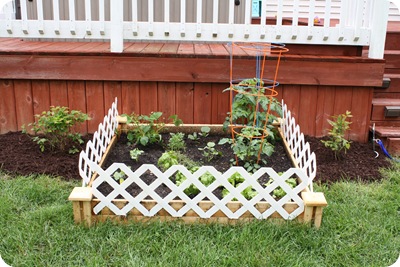 raised garden