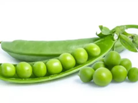 Pea