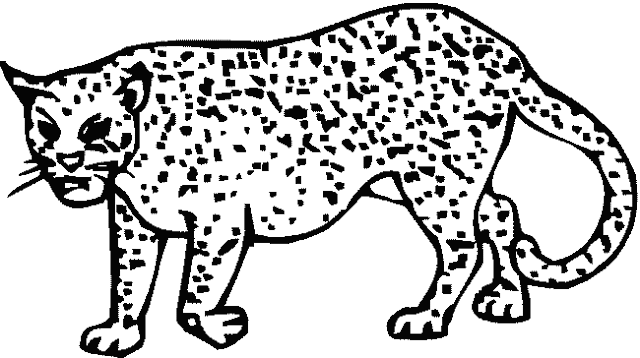 Realistic cheetah coloring pages printable