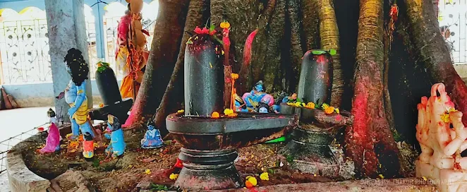 Paglakhali_temple