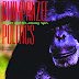 Télécharger Chimpanzee Politics – Power and Sex Among Apes Rev Livre