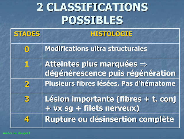 LESIONS MUSCULAIRES