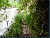 DSCN8298