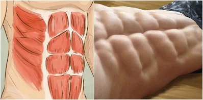 Basic Exercises For Six Pack Abs That You Must Try It Today