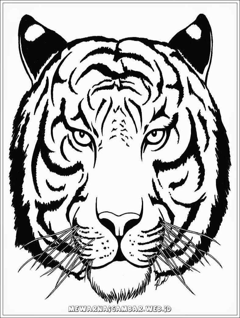  Gambar  Sketsa  Harimau Hitam Putih Ala Model Kini