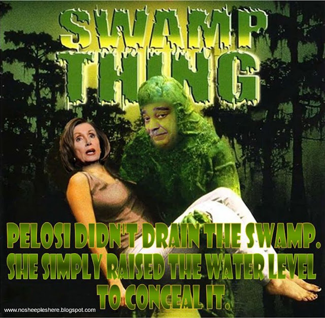 Image result for Pelosi 'Swamp'?