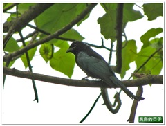 20110921_145759_019_YehLiu