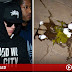 Justin Bieber Egg Attack is Gateway to ... The Thug Life