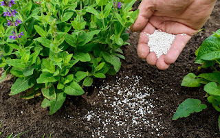 Cómo elegir el mejor fertilizante para tu jardín