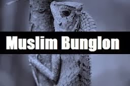 Apa Itu Muslim Bunglon? Yuk simak Penjelasannya Disini!