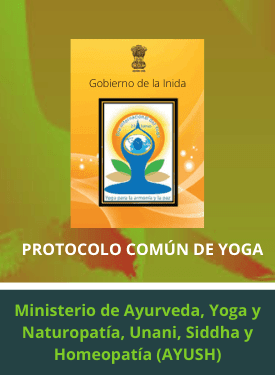 protocolo común yoga