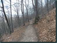 SAM_0215