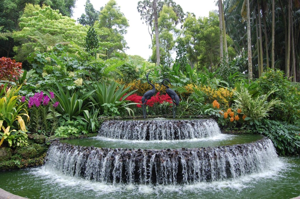 Singapore Botanic Gardens Beautiful Places to Visit in Singapore