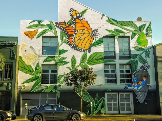 insects on a building