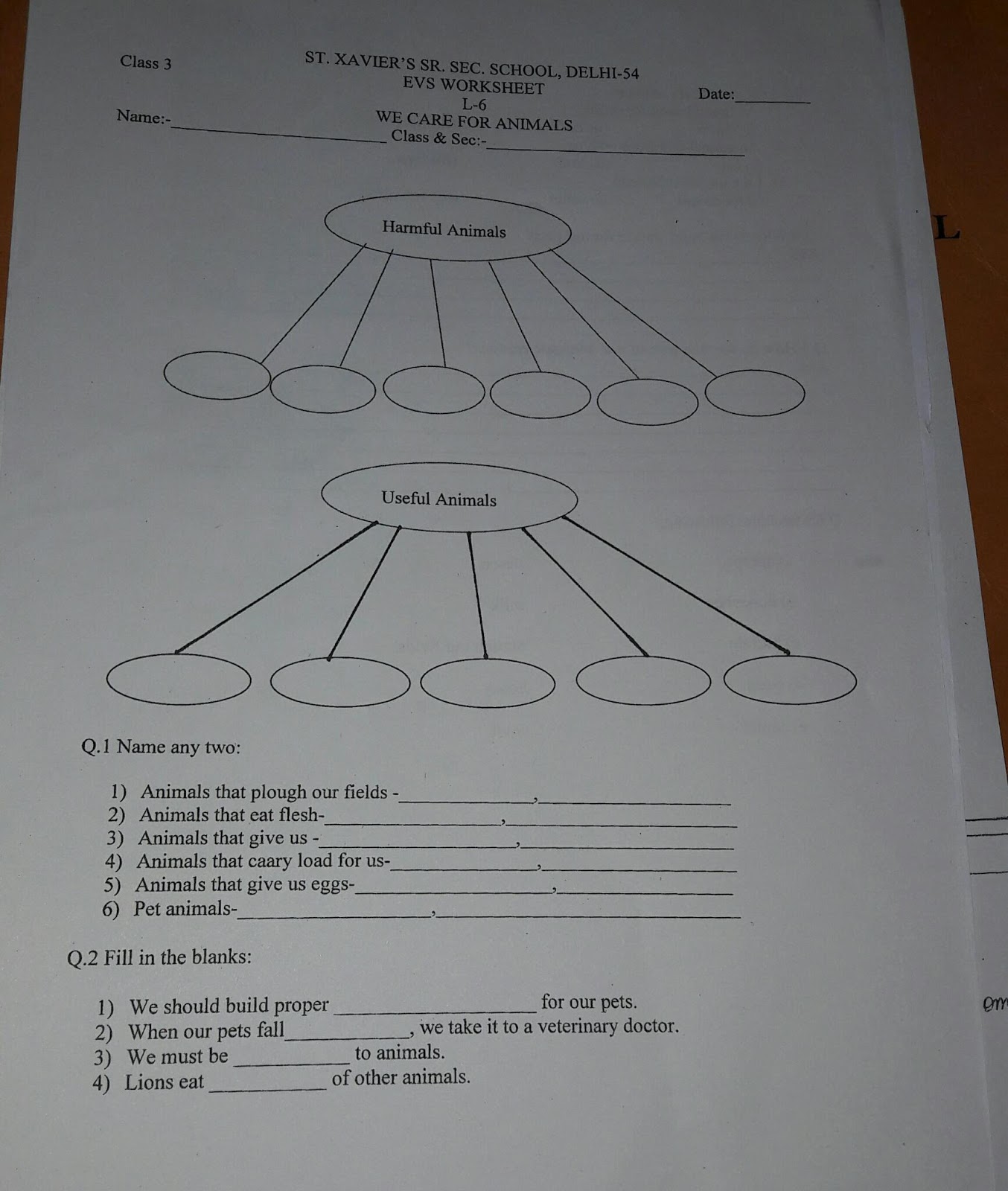 english jr worksheets kg Revision EVS class : 3 worksheets Batra Smriti