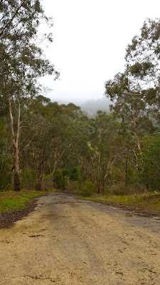 Templestowe Hill Climb