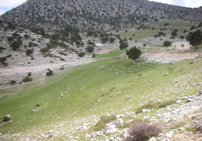 Γκιώνα  8-4-2010 054