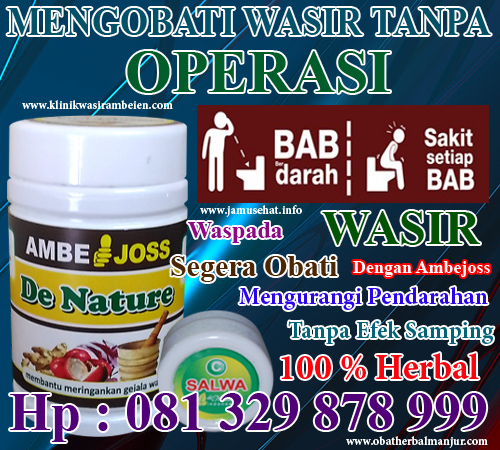 obat wasir cara herbal