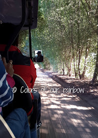 WASIT WETLAND CENTRE SHARJAH (UAE) - An amazing winter break trip for kids.@http://colorsofourrainbow.blogspot.ae/