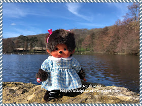 kiki monchhichi monchichi parc rouelles toys collector collection vintage