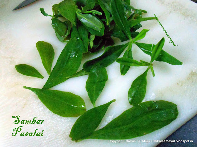 Sambar Pasalai or Pasalai keerai in Tamil