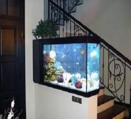There should make the Aquarium under the stairs