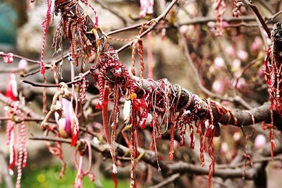 800px-Martenitsa_magnolia