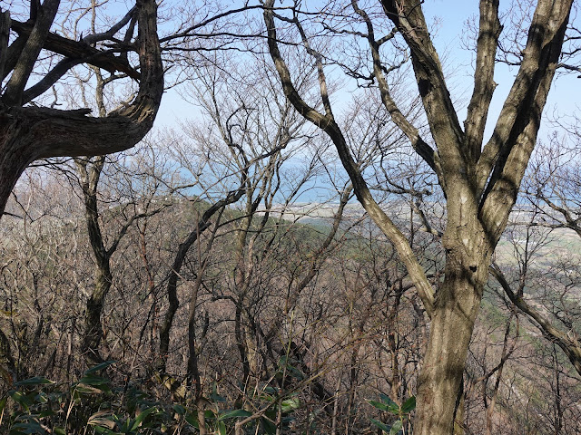 孝霊山　中腹の急な坂道