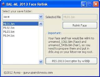 BAL-ML 2013 Face Relink