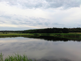 Каменка, Добропольский р-н, Донецкая обл. Заказник «Заплава реки Бык»