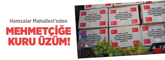 Hamzalar Mahallesinden Mehmetçiğe üzüm desteği