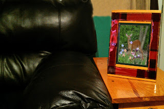 Novelty Picture Frame 2