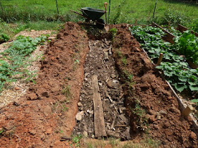 Creating a hugelkultur bed to retain rain runoff. 