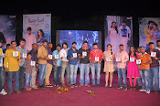 Teeyani Kalavo Movie Audio release function-thumbnail-9