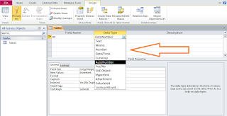 Fungsi dari Tipe Data di Ms Access