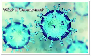 What Is Coronavirus? 