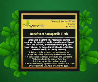 Benefits of  Sarsaparilla Herb