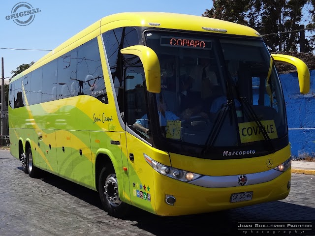 » Covalle Bus (Salon Semi Cama) | (CKDC49)