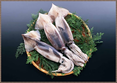 Beautiful ocean fresh seafood Pics