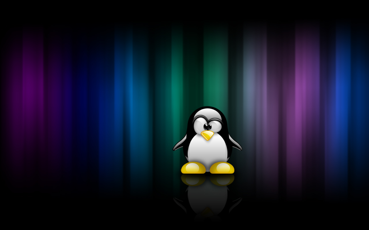 Debian GNU / Linux: Wallpaper o Fondos de pantalla Debian Linux 2012