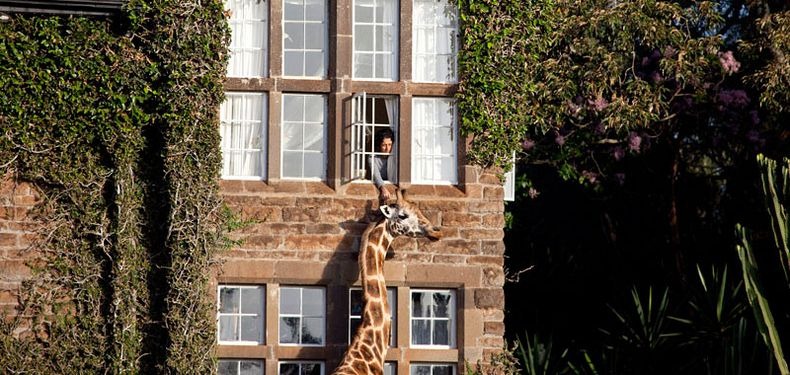 giraffe-manor-6 giraffe-manor-6