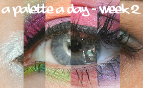 A palette a day challenge