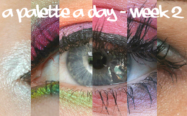 A palette a day challenge